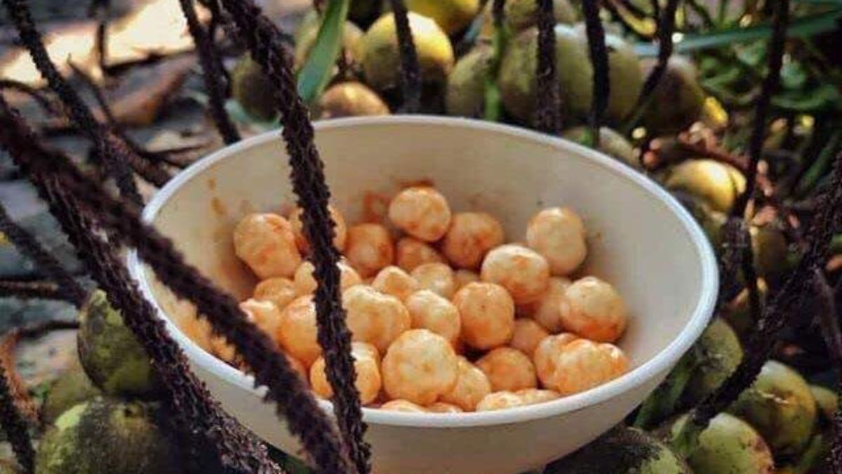 ¿Qué es y a qué sabe el coyol? Una fruta que también es llamada